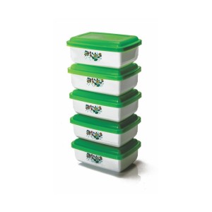 Pote Retangular Mini com 5 Peças Decorado 270 ML