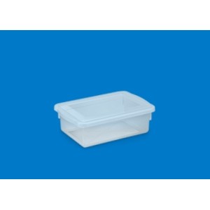 Caixa Organizadora Transparente com Tampa