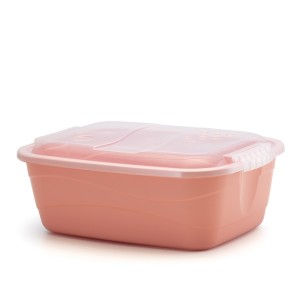 Container  Organizador  10 Litros Color