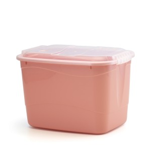 Container Organizador 12 Litros Colorido