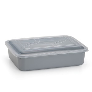 Container  Versatil Retangular  2,8 Litros Colorido