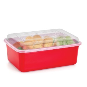 Container  Versatil Retangular  4 Litros Colorido