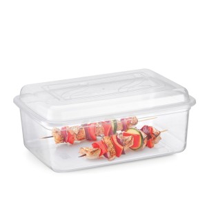 Container  Versatil Retangular  4 Litros