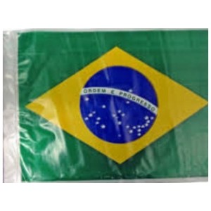 Bandeirão De Plastico Com 10 Metros