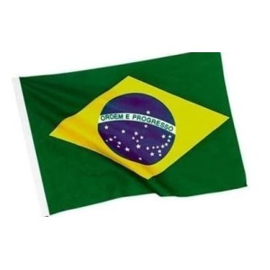 Bandeirão De Plastico Copa 10 metros