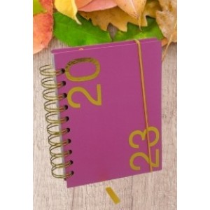 Agenda  Pequena 2023