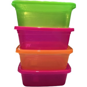 Container  Médio  Neon