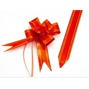 Laço  Facil  Com 10, Cores  Sortidas- 1,7 X 34 Cm