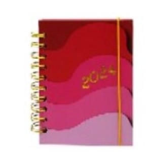 Agenda  Pequena 336 Pagina  2024