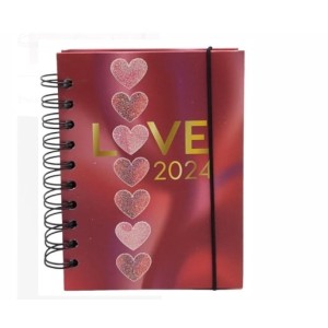 Agenda 336 Páginas 2024