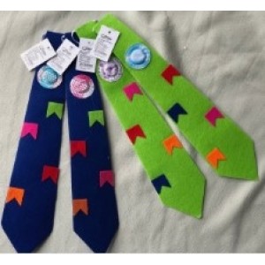 Gravatas Coloridas Com Mini Bandeirinhas